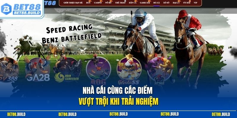Nhà cái cùng các điểm vượt trội khi trải nghiệm